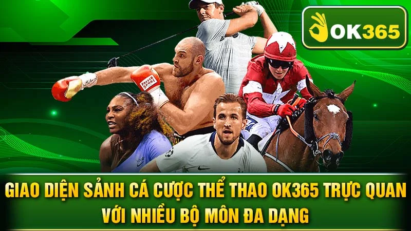 Giao diện sảnh cá cược thể thao OK365 trực quan với nhiều bộ môn đa dạng.