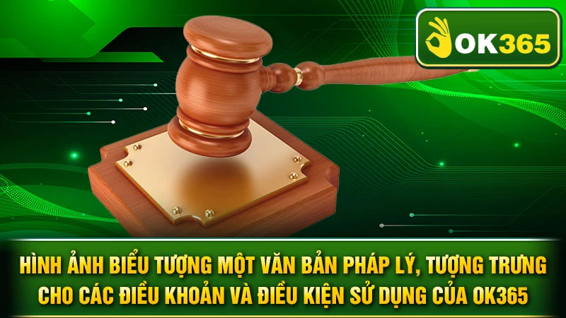 Hình ảnh biểu tượng một văn bản pháp lý, tượng trưng cho các điều khoản và điều kiện sử dụng của OK365.
