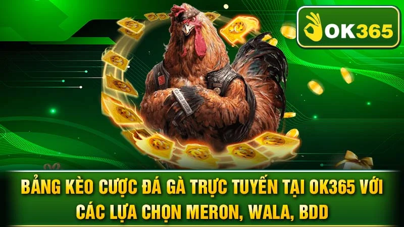 Bảng kèo cược đá gà trực tuyến tại OK365 với các lựa chọn Meron, Wala, BDD.