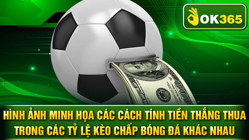 Hình ảnh minh họa các cách tính tiền thắng thua trong các tỷ lệ kèo chấp bóng đá khác nhau.