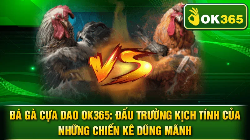 Đá Gà Cựa Dao OK365: Đấu Trường Kịch Tính Của Những Chiến Kê Dũng Mãnh