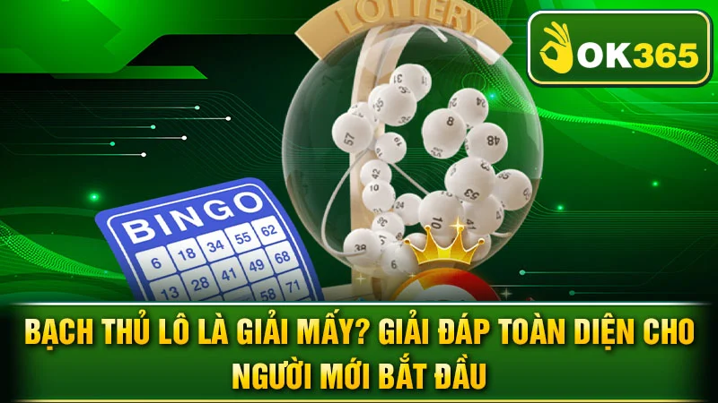 Bạch Thủ Lô Là Giải Mấy? Giải Đáp Toàn Diện Cho Người Mới Bắt Đầu